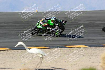 media/Jan-14-2024-SoCal Trackdays (Sun) [[2e55ec21a6]]/Bowl (11am)/